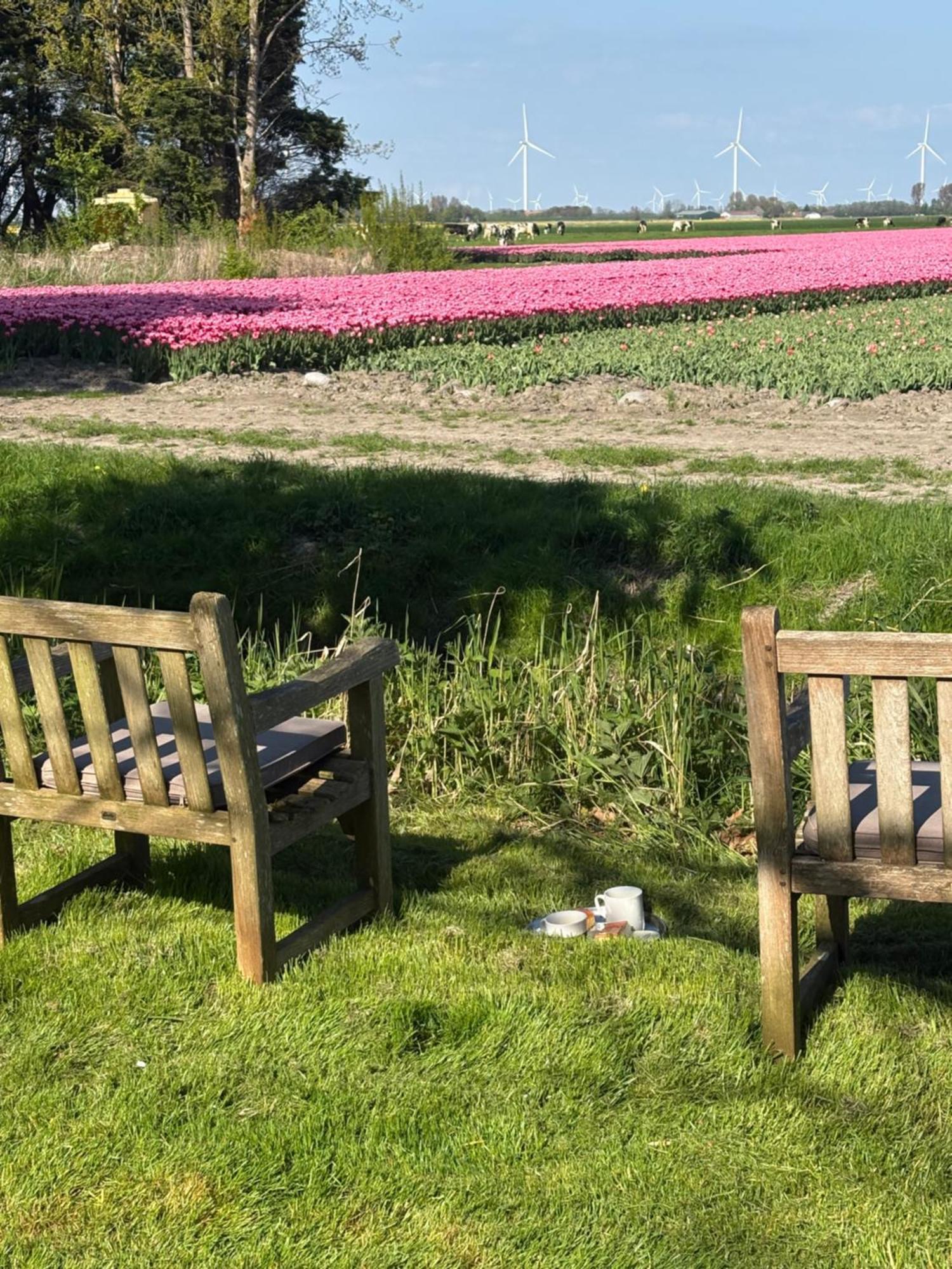 Gouweland Villa Hoogwoud Bagian luar foto