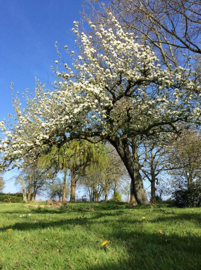 Gouweland Villa Hoogwoud Bagian luar foto